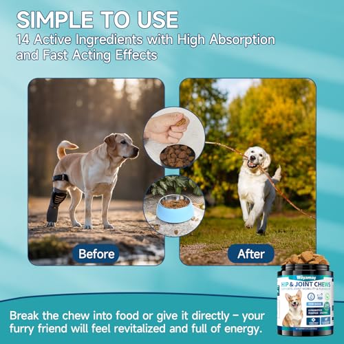 Hip and Joint Supplement for Dogs, Glucosamine for Dog Joint Supplement, 200 Soft Chews with Glucosamine, Chondroitin and MSM Dog Hip and Joint Supplement for All Ages and Breeds, Chicken Flavor