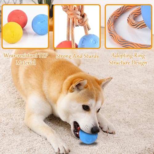 4 Stück Ball mit Schnur Hund, ø 5/30 cm Wurfball am Seil Naturkautschuk, Hundespielzeug Ball mit Seil extrem Weite Würfe, Hundeball Snackball, Hundebälle Kleine Hunde, Große Hunde (Rot Gelb Blau)