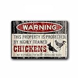 Fhdang Señal de pollo decorativa, divertido signo de metal, señal de advertencia de pollo, divertida señal de pollos, protegido por pollos, señal de casa, regalo de gallina, signo de metal (no madera)