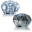 Ab14-flower Blue
