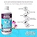 Buried Treasure ACF Immune Support - 16 oz, 16 Servings, Vitamin C, Elderberry, Zinc, Liquid Immune Booster with Vitamins and Minerals w/ Dose Cup