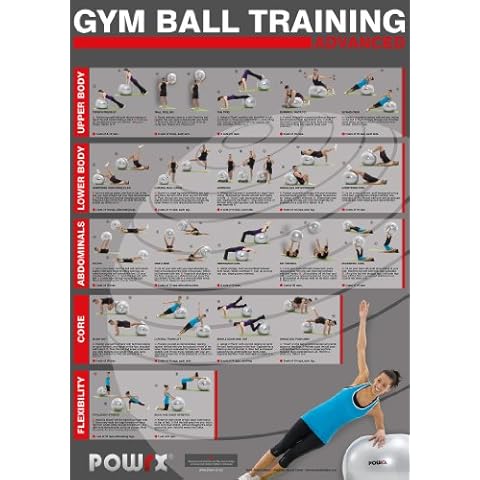 POWRX Gym Ball Training Chart, for an Advanced Total Body Workout,20 different exercises, A1 size finish. Cover
