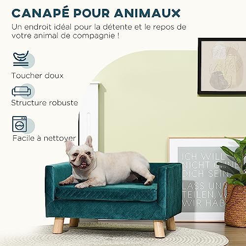 PawHut Hundesofa für Hunde, skandinavisches Design, weiches Kissen, Füße aus Massivholz, Maße: 64 x 45 x 36 cm, Velours, Entenblau