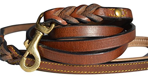 Soft Touch Collars Leather Braided Dog Leash, Brown with Padded Handle for Comfort, 6 Foot