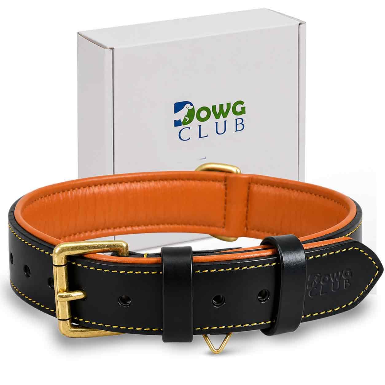 DowgClub Genuine Leather Dog Collar, Black, Large, Soft Leather Padding