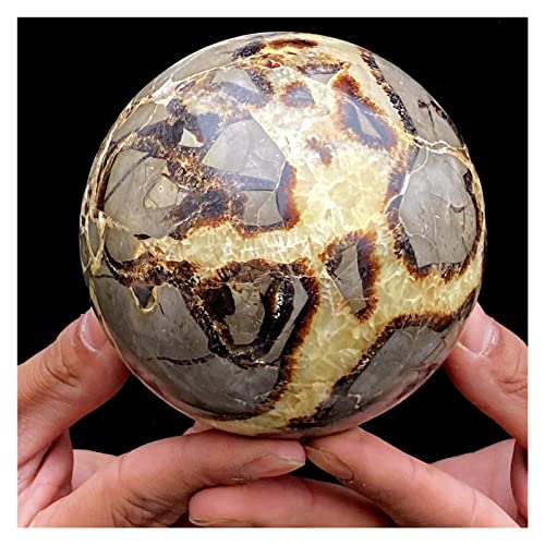 Natural Spherian Spherian Septarium Natural Dragão Pedra De Septarium Fóssil Esfera De Cristal Bola