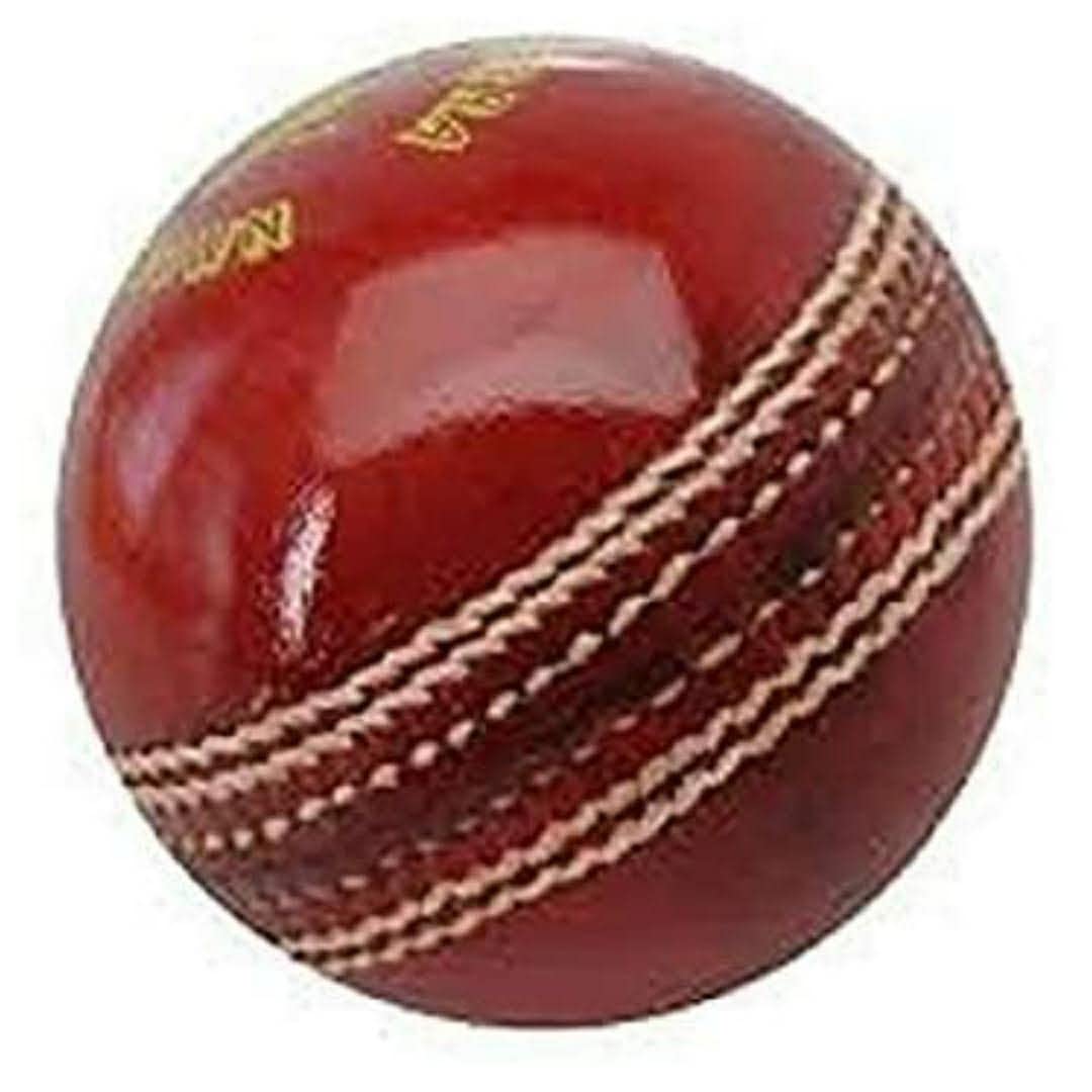 Balle de Cricket en Cuir (2 pièces)