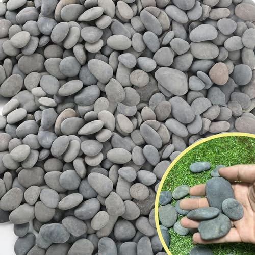CJGQ 45lb Natural River Rocks Mexican Beach Pebbles