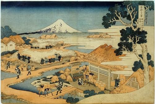 Impression d'art Mont Fuji Hokusai affiche de qualité supérieure 60x90cm