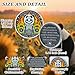 Burning Panda Skeleton Sunflower Sobriety Coin - 3 Year Sobriety Coin, Burning Brighter & Rising Higher AA Chip Medallion & NA Recovery Medallion, Milestone Token for Men & Women in Recovery