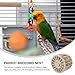 INOOMP Bird Nest Plastic Breeding and Hatching Bowl 2.91X2.91X2.75In Small Nest for Parrots Pigeons Parakeets Cage Accessories