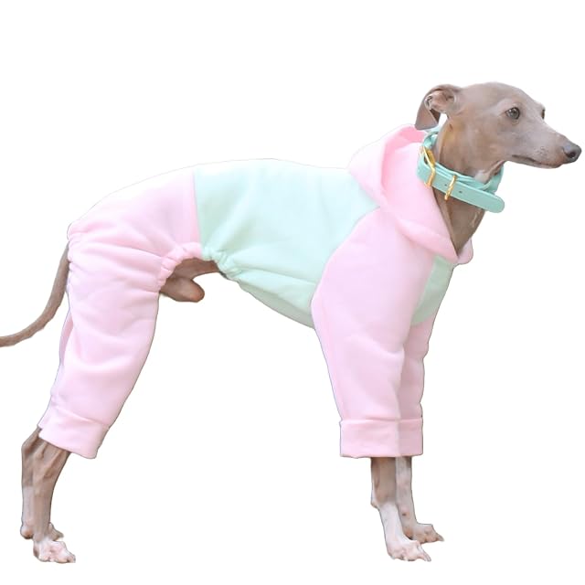 IUOUTG Supuestador De Galgo Italiano, Sudadera para Perros De Whippet Whippet De Whippet