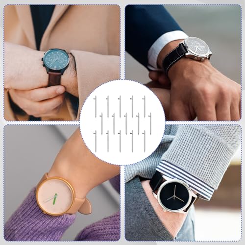 BOHUIZ 15 Stück Uhrenarmband Stifte, Uhrenstifte 22mm Quick Release Edelstahl Federstege Uhrband Federstift Schnellverschluss Federstege Watch Band Pins Kit Link Federstifte für Ersatzreparat