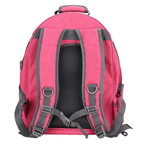 Mochila para animais de estimação, bolsa transparente para gatos, suprimentos para transporte de ani