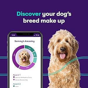 Orivet Dog DNA Test | Comprehensive Dog Breed Test Kit, Genetic Testing and Life Plan GenoPet+ for Canines Orivet Dog DNA Test Comprehensive Dog Breed Test Kit Genetic Testing and Life Plan GenoPet for Canines