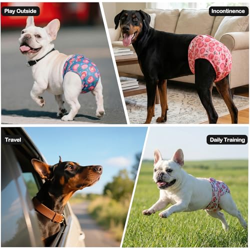 Image of Female Dog Diapers Reusable No Tail Hole Period Panties Washable 3 Pack Diapers Female for Docked-Tail Frenchie French Bulldog Boston Terrier Without Tail U-WWD05L
