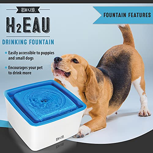 Dispensador de agua elevado para perros ZEUS Mini miniatura 3