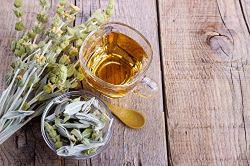 Greek Mountain Tea Ironwort (Sideritis L. - Sideritis Scardica) Health Embassy - 100% Natural (50G) #TOP4