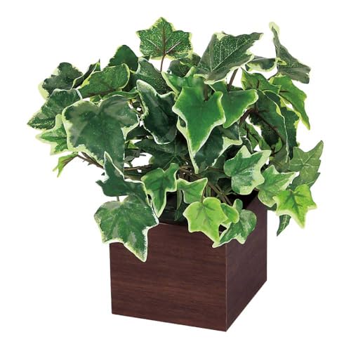 ؖڃ|bg 200x200x250 p[e[V ~j^Cv lHϗtA |Cg ANZg AW   tFCNO[ lH   p[eBV CeA p GR4386