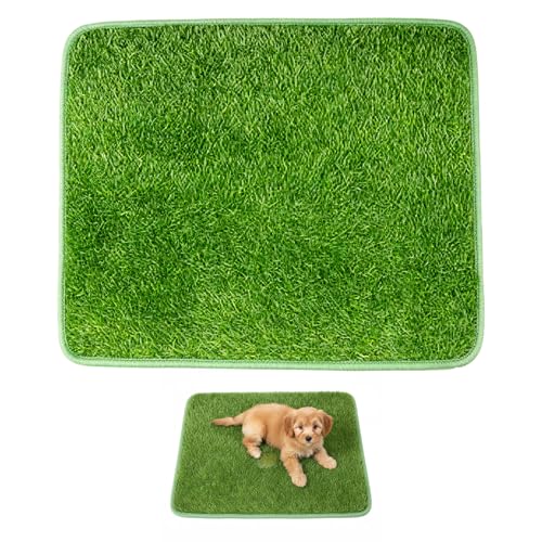 Lettiera per cani con erba artificiale 46x70 cm toilette tappeto