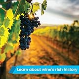 Activity Superstore Vineyard with Lunch for Two Gift Experience Voucher - Image 2