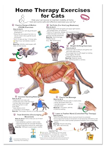 Home Therapy Exercises for Cat Chart – Feline Home Therapy Exercises - Cat Physical Rehabilitation, Stretches & Massage Techniques - For Arthritis, Injury Recovery & Mobility - Veterinary Chart in variety of sizes (24*36inch)