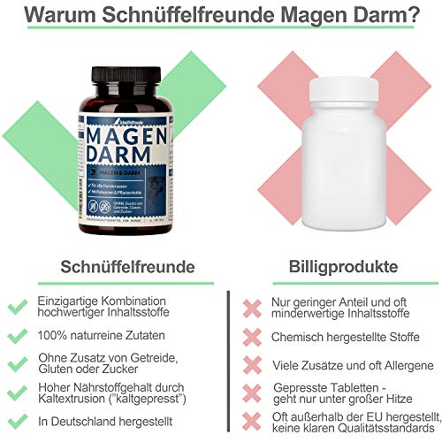 Schnüffelfreunde Magen Darm für Hunde I Unterstützt die Darmflora und natürliche Darmregulierung beim Hund - mit Flohsamenschalen, Pflanzenkohle und Moorextrakt (300g - ca. 360 Stück)