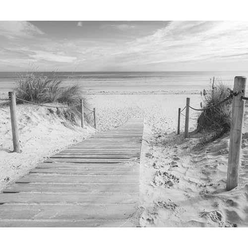 decomonkey - Papier Peint Panoramique Plage Mer 350x256 cm - Décoration murale moderne – Tapisserie décorative pour chambre salon - Mer paysage plage eau