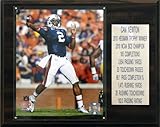 NCAA Football Cam Newton Auburn Tigers Career Stat Plaque