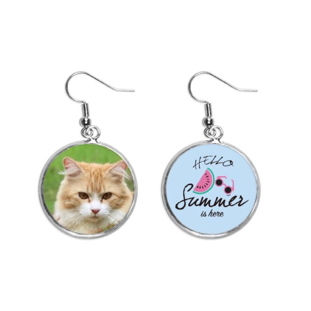 Pendientes de sandía estilo gato amarillo para pendientes de verano modernos 5
