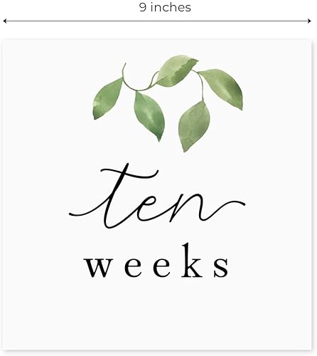 Miniatura 5 de Greenery Maternity - Accesorios de fotos semanales de hitos  18 tarjetas paquete de 36 hitos semanales  9 x 9 pulgadas, recuerdo moderno de embarazo