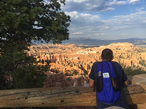 Hammock Bliss - Ultralight Travel Daypack - Lightweight Packable Backpack - Foldable Hiking Backpacks - Waterproof Compact Folding Day Pack For Travel Camping Outdoor - Only 5.25 Oz #TOP4