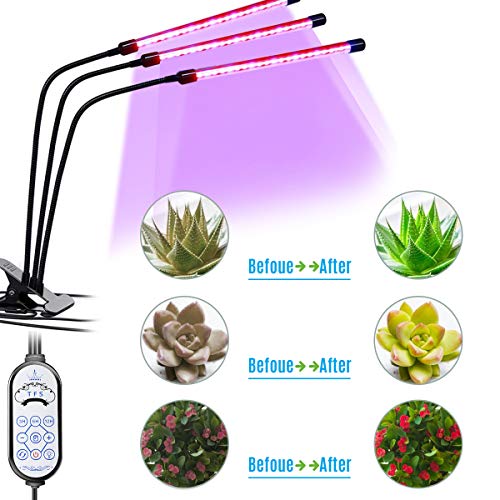 LED Grow Light for Indoor Plant - 60W Tri Head On Desk Plants Growing Lamp with 6 Dimmable Levels Auto Timer Perfect for House Garden Hydroponics Succulent Red Blue Spectrum Clip Adjustable Gooseneck - Thumbnail 4