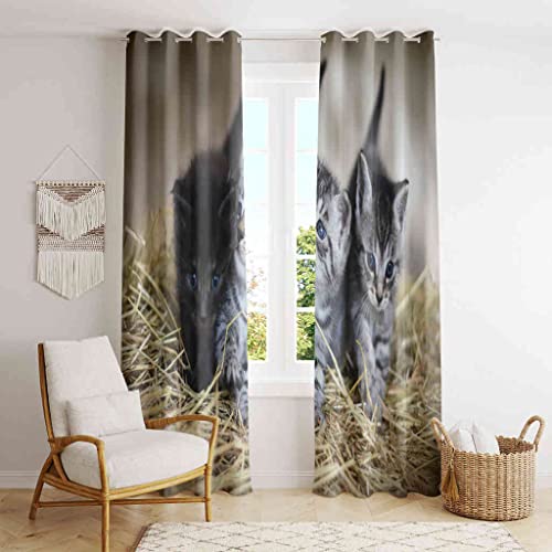 MOFIDOSA 遮光カーテン 2枚組 3かわいい子猫愛らしい猫ペット 防寒 断熱 保温 防音カーテン 寝室用 リビング用 洗える カーテン おしゃれ 間仕切り 昼夜目隠し 省エネ 厚手カーテン, 幅100cm×丈178cm, 2枚セット