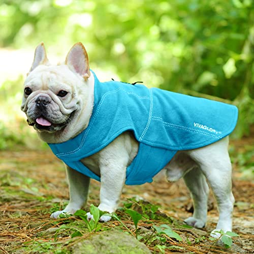 VIVAGLORY Softpad Wintermantel Hund, Hundemantel Fleecemantel Hund, Fleecejacke mit Bauchschutz, Fleece Reflektierend Verstellbar Softshell, S, Türkis