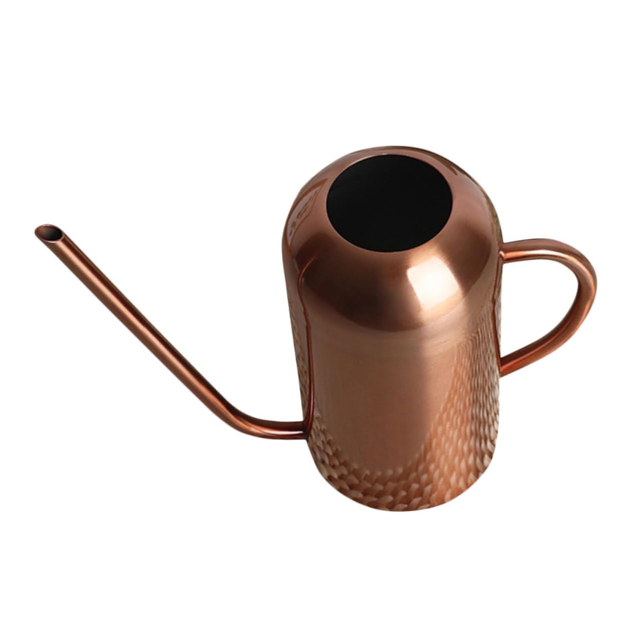 Kisangel Regadera Inoxidable Extensible Exterior Flores Suculentas Fácil De Limpiar