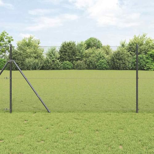 Mokuyary Recinzione in filo saldato, grigio, 1 x 100 m, ideale per terreni, giardini e recinzioni per animali