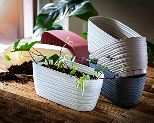KADAX Blumentopf mit Untersetzer, Blumenkübel, Pflanzkübel für Innen, Leichter Pflanztopf aus Kunststoff, Übertopf für Blumen, Pflanzen… – Ansicht 5