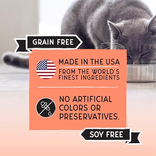 Image of Blackwood Bounty Dry Cat Food, Salmon & Rainbow Trout Recipe for All Life Stages, 2 Pound Bag, High Protein, Grain Free