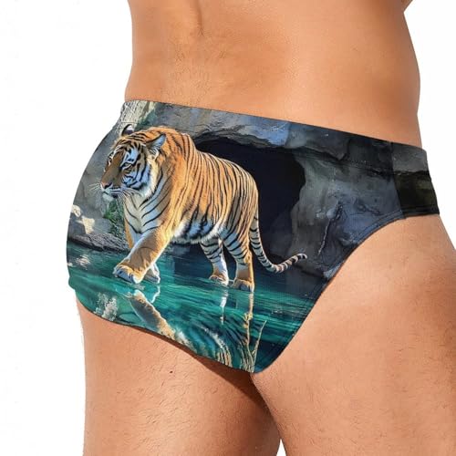 A Walking Tiger Men's Swim Brief Sexy Bikini Swimwear Swimsuit Trunks Bathing Suits3