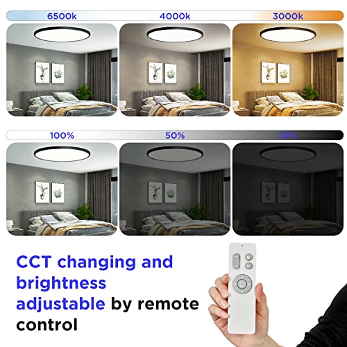 Smart Ceiling Light with Music Speaker