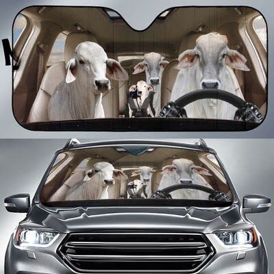 Pare soleil voiture pliable universel camion SUV taille M