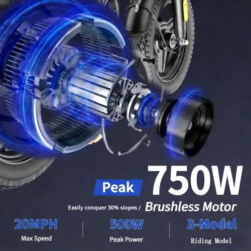 HLOIE 750W Foldable E-Bike