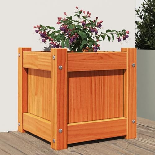Gecheer Pflanzkübel Wachsbraun 31x31x31 cm Massivholz Kiefer, Hochbeet Pflanzbeet Blumenkasten Blumenkübel Blumentopf für Balkon Garten Terrasse837398