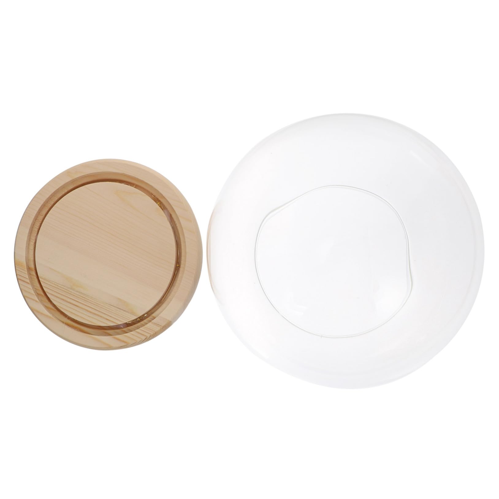 Protection anti-poussière pour présentation de fleurs sous cloche lumineuse en verre