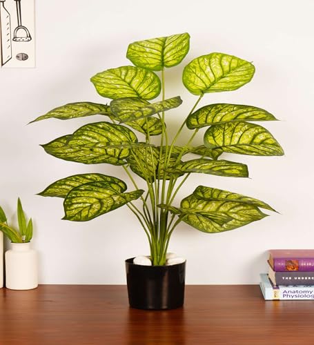 Image of ARICK Decor 2.1Ft Artificial Dieffenbachia Plant with 18 Leaves, 65cm Tall Faux Variegated Tropical Dumb Cane in Black Pot, Realistic Large Silk Leaf Potted Tree for Home, Office & Interior Styling