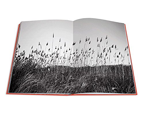 The Big Book of the Hamptons