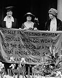 Home Comforts Women'S Suffrage Protest Republican Convention - 20 Inch by 30 Inch Laminated Poster With Bright Colors And Vivid Imagery-Fits Perfectly In Many Attractive Frames