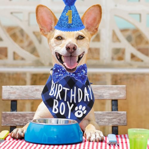 Set de disfraz de cumpleaños para perro con bufanda azul miniatura 5