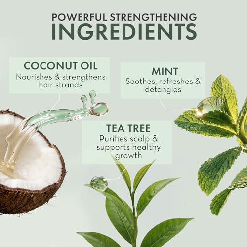 Leave In Conditioner Spray - Tea Tree Scalp Treatment - Anti-Dandruff and Dry & Itchy Scalp Treatment, Hydrating & Medicated Formula for Psoriasis and Scalp Care - Detangles & Nourishes Hair. - Image 5